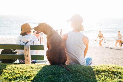 alvin-balemesa-105751-unsplash-web